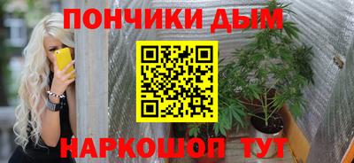 ECSTASY Гатчина