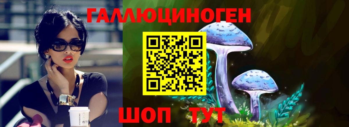 Псилоцибиновые грибы Psilocybe  Вход с VPN  Ногинск 